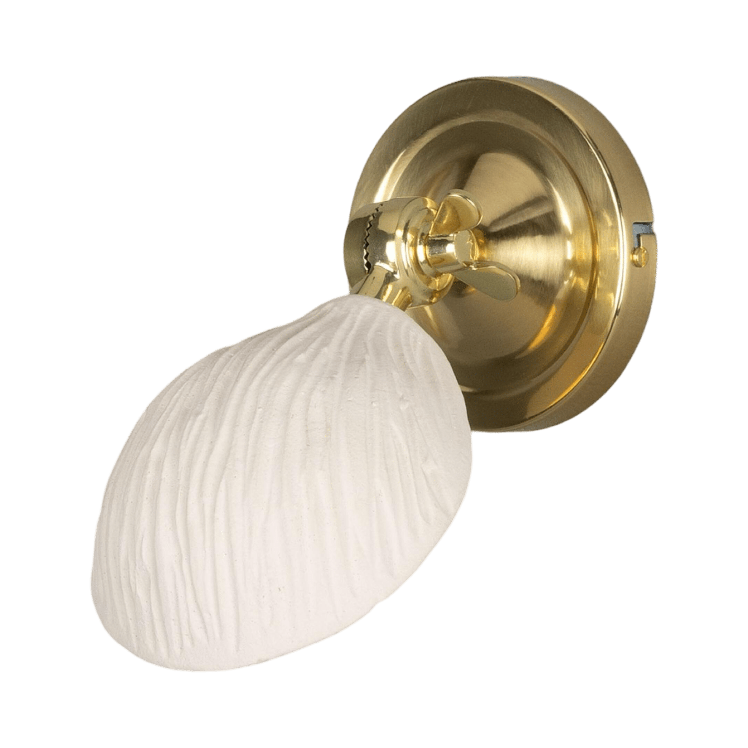 Mullan Lighting Lighting Polished Brass Coco Adjustable Ceramic Wall Sconce