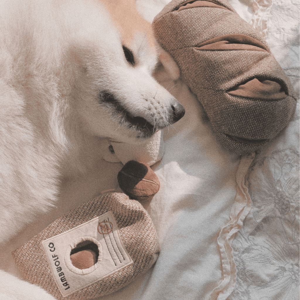 Lambwolf Collective Coffee Beans//ENRICHMENT DOG TOY
