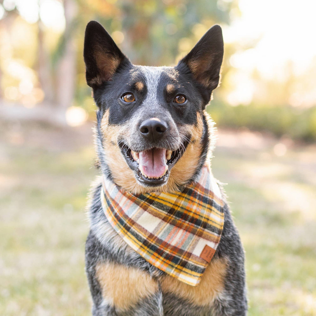 The Foggy Dog SHOP Cornucopia Flannel Dog Bandana