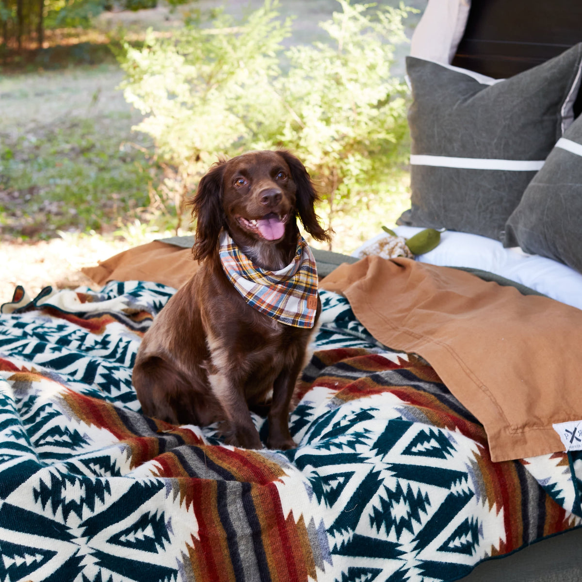 The Foggy Dog SHOP Cornucopia Flannel Dog Bandana