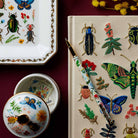 Rifle Paper Co. SHOP Curio Porcelain Box