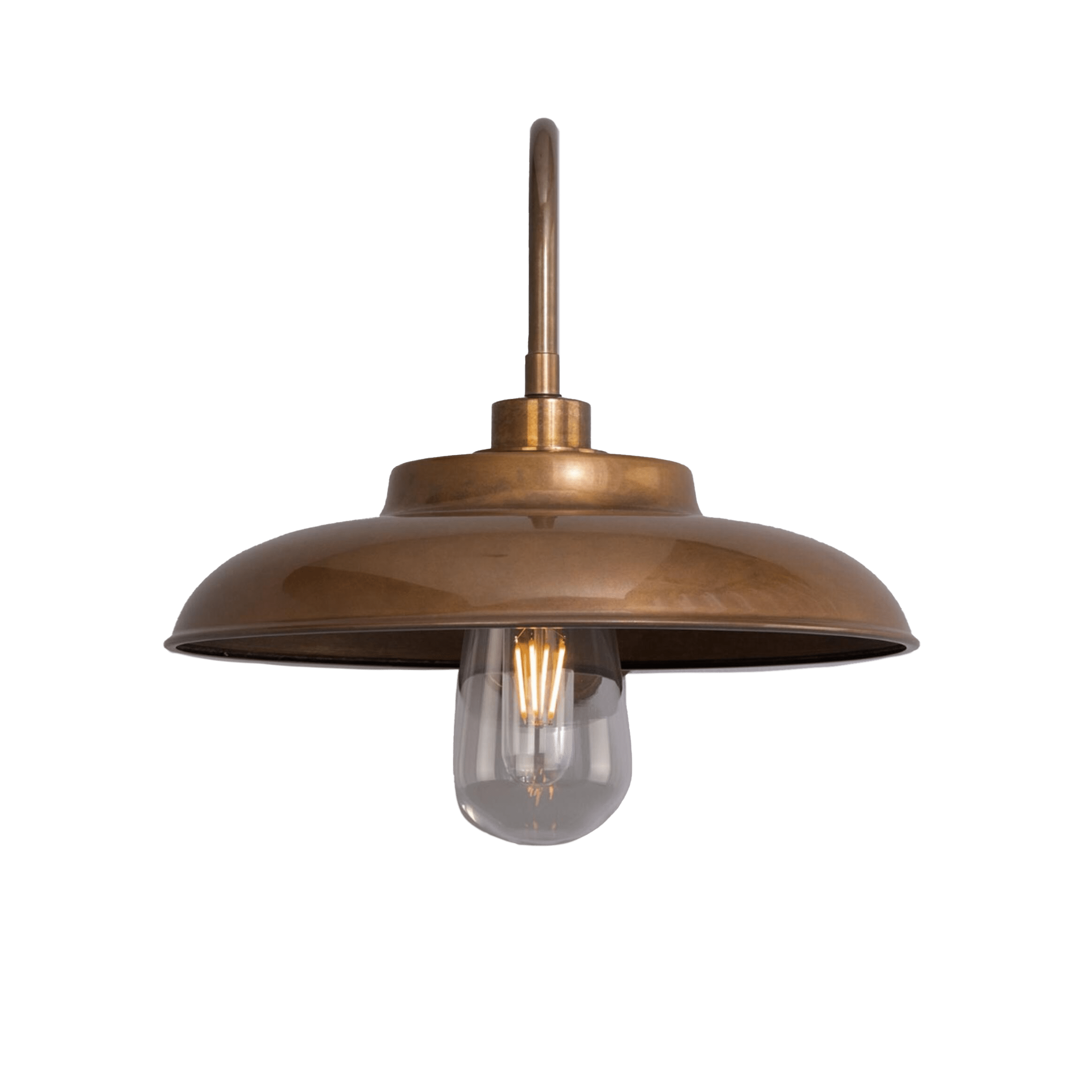 Mullan Lighting Lighting Darya Outdoor Swan Neck Wall Sconce