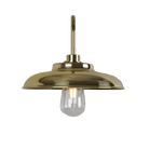 Mullan Lighting Lighting Darya Outdoor Swan Neck Wall Sconce