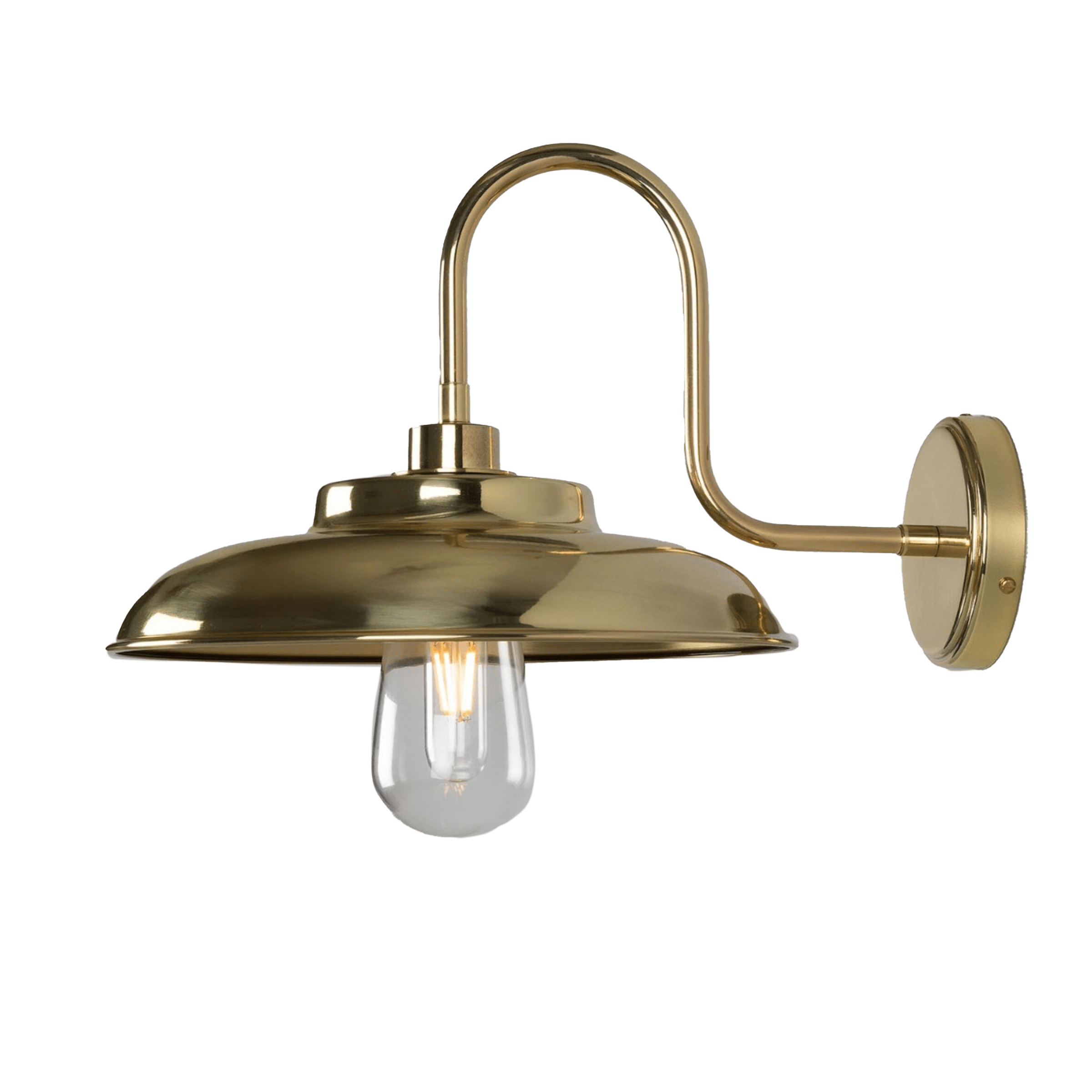 Mullan Lighting Lighting Darya Outdoor Swan Neck Wall Sconce