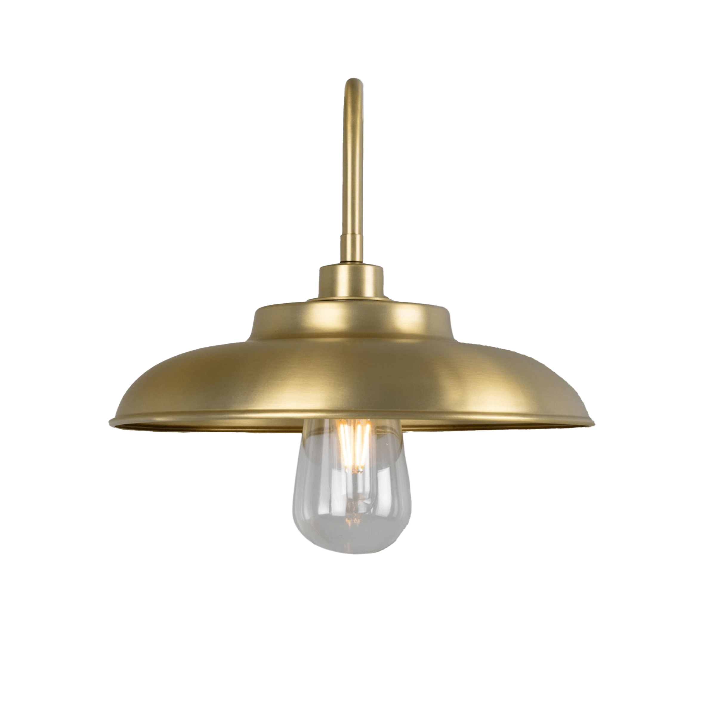 Mullan Lighting Lighting Darya Outdoor Swan Neck Wall Sconce