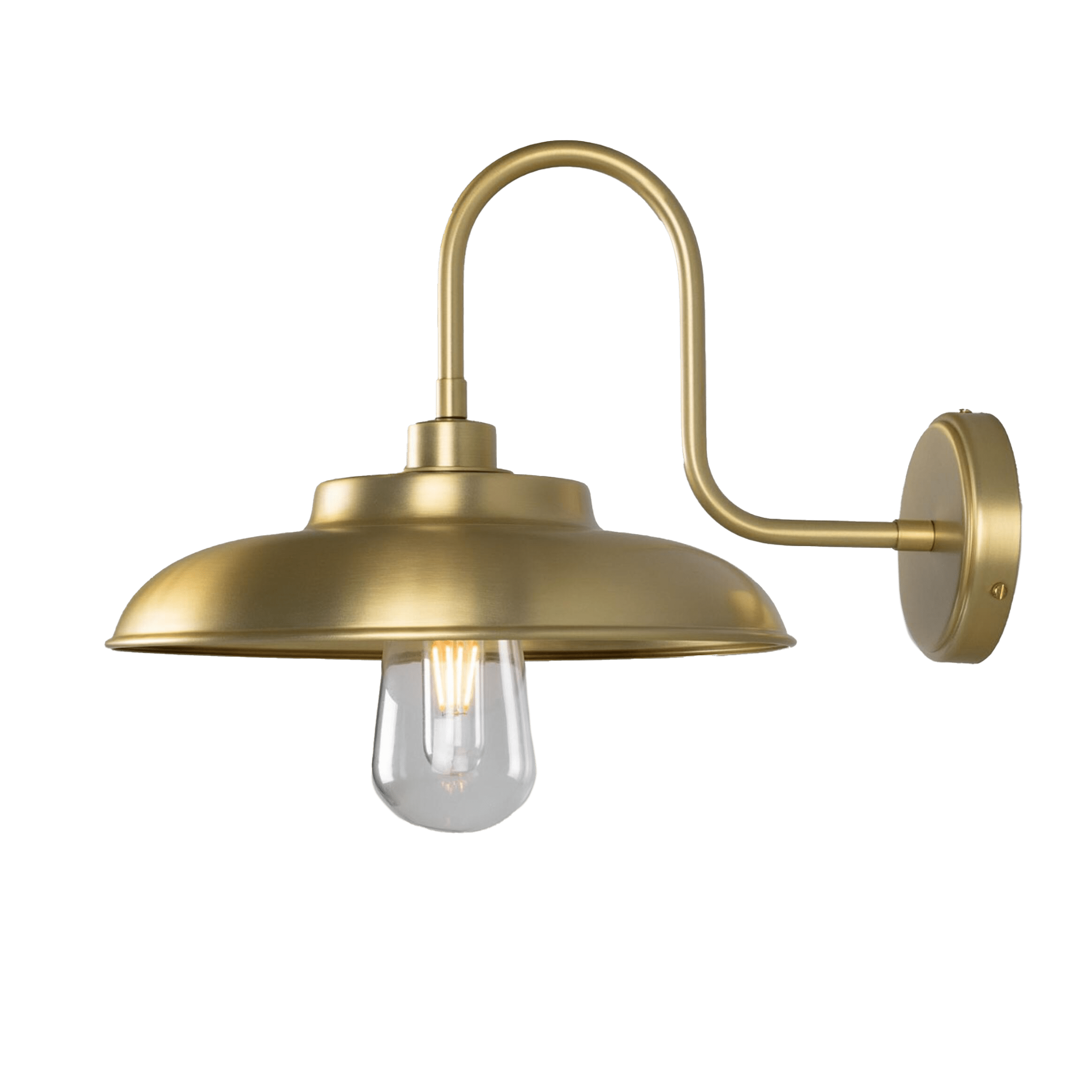 Mullan Lighting Lighting Darya Outdoor Swan Neck Wall Sconce