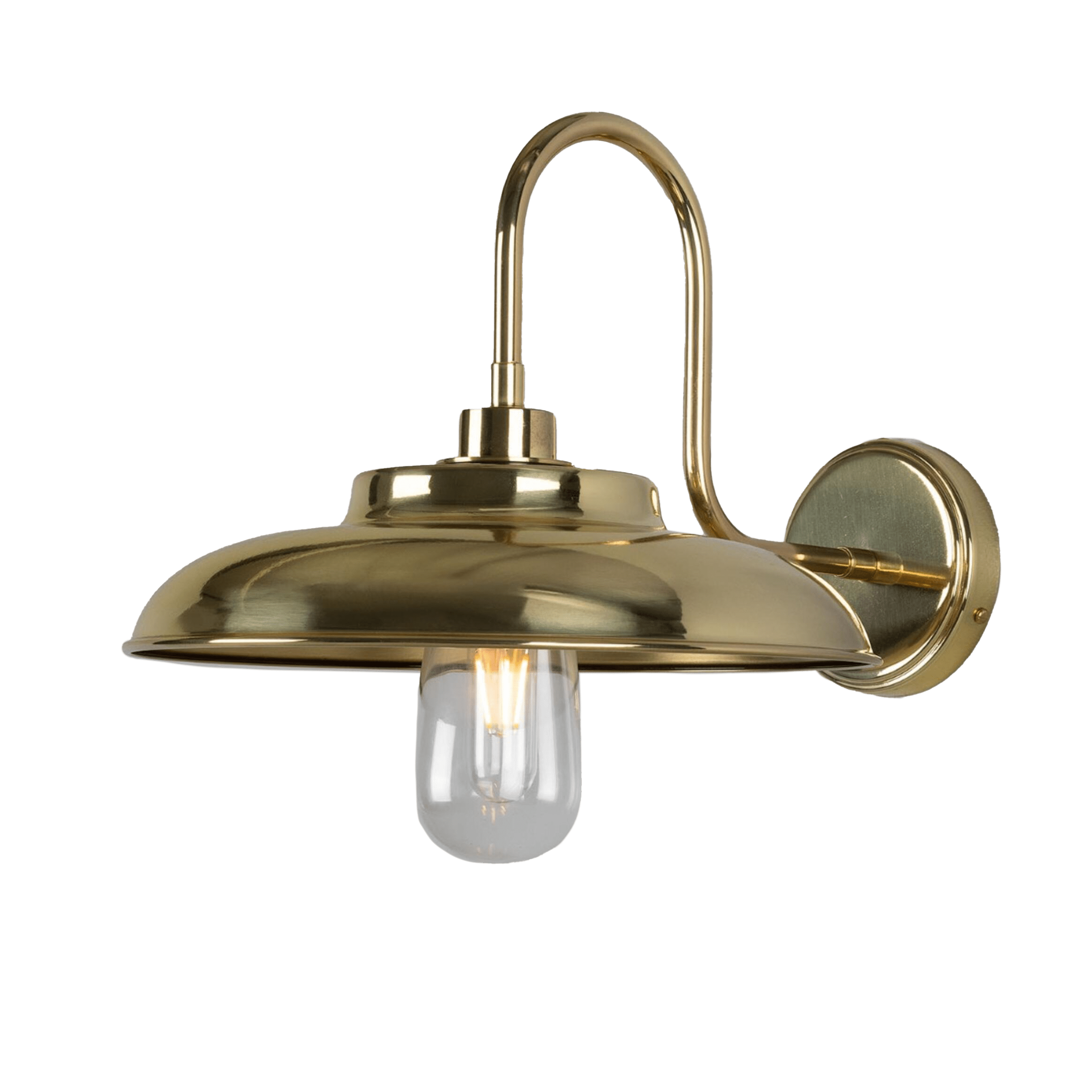 Mullan Lighting Lighting Polished Brass (Indoor Only) / Clear Darya Outdoor Swan Neck Wall Sconce
