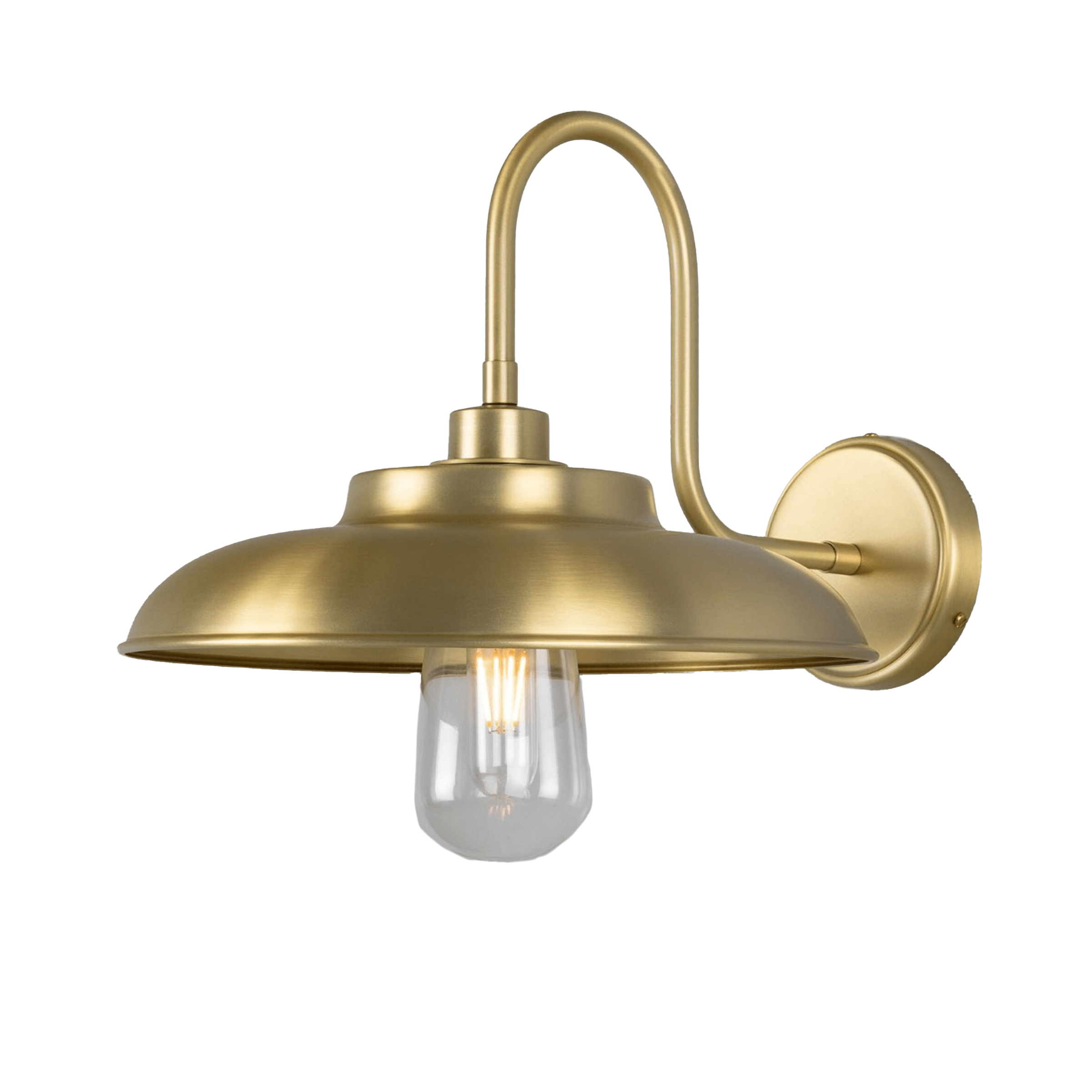 Mullan Lighting Lighting Satin Brass (Indoor Only) / Clear Darya Outdoor Swan Neck Wall Sconce