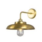 Mullan Lighting Lighting Satin Brass (Indoor Only) / Clear Darya Outdoor Wall Sconce