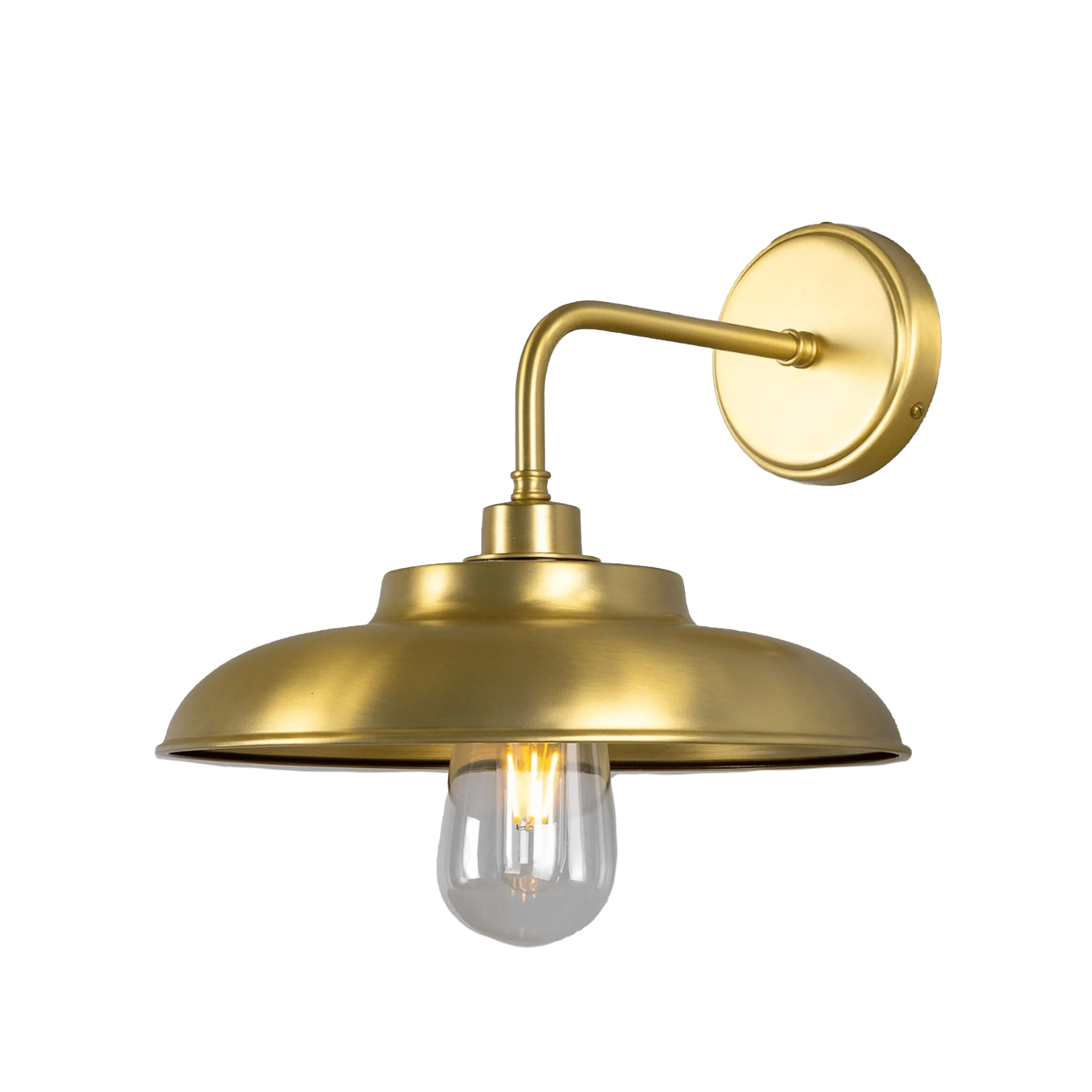 Mullan Lighting Lighting Satin Brass (Indoor Only) / Clear Darya Outdoor Wall Sconce