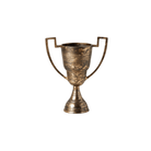 etúHOME SHOP Distressed Gold Trophy Cup, Medium