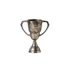 etúHOME SHOP Distressed Silver Trophy Cup, Large