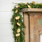 Ragon House SHOP Dried Apple Slice Christmas Garland