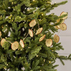 Ragon House SHOP Dried Apple Slice Christmas Garland