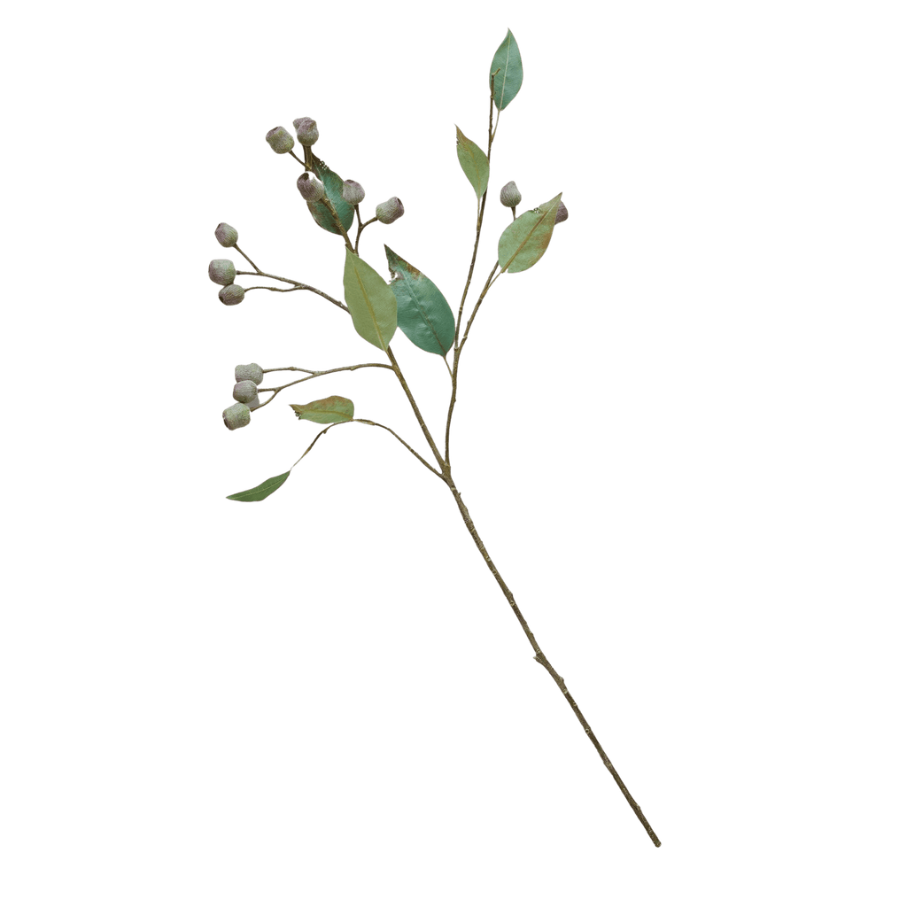 Bloomist Eucalyptus Pod Branch