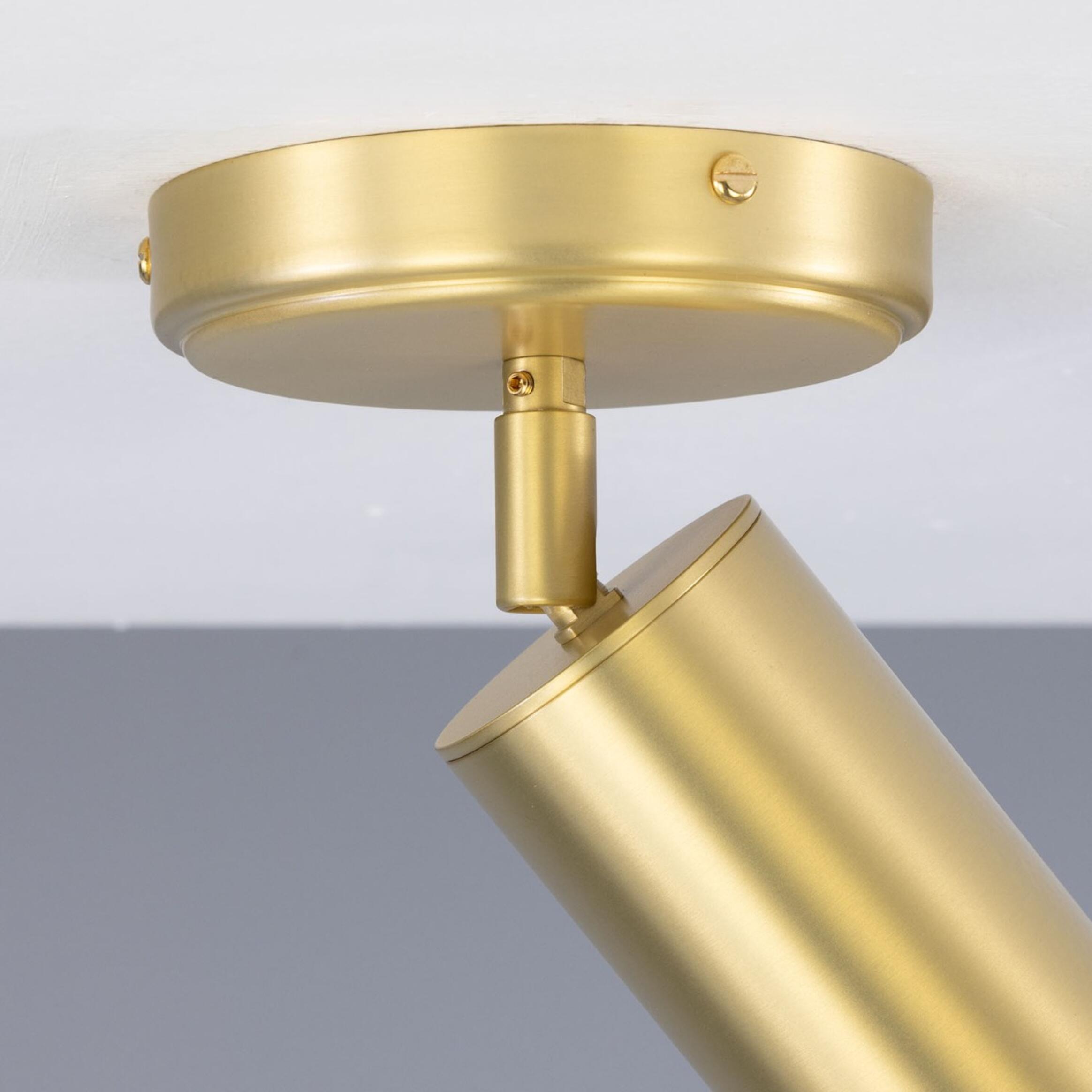 Mullan Lighting Lighting Evanston Directional Brass Ceiling Spot Light