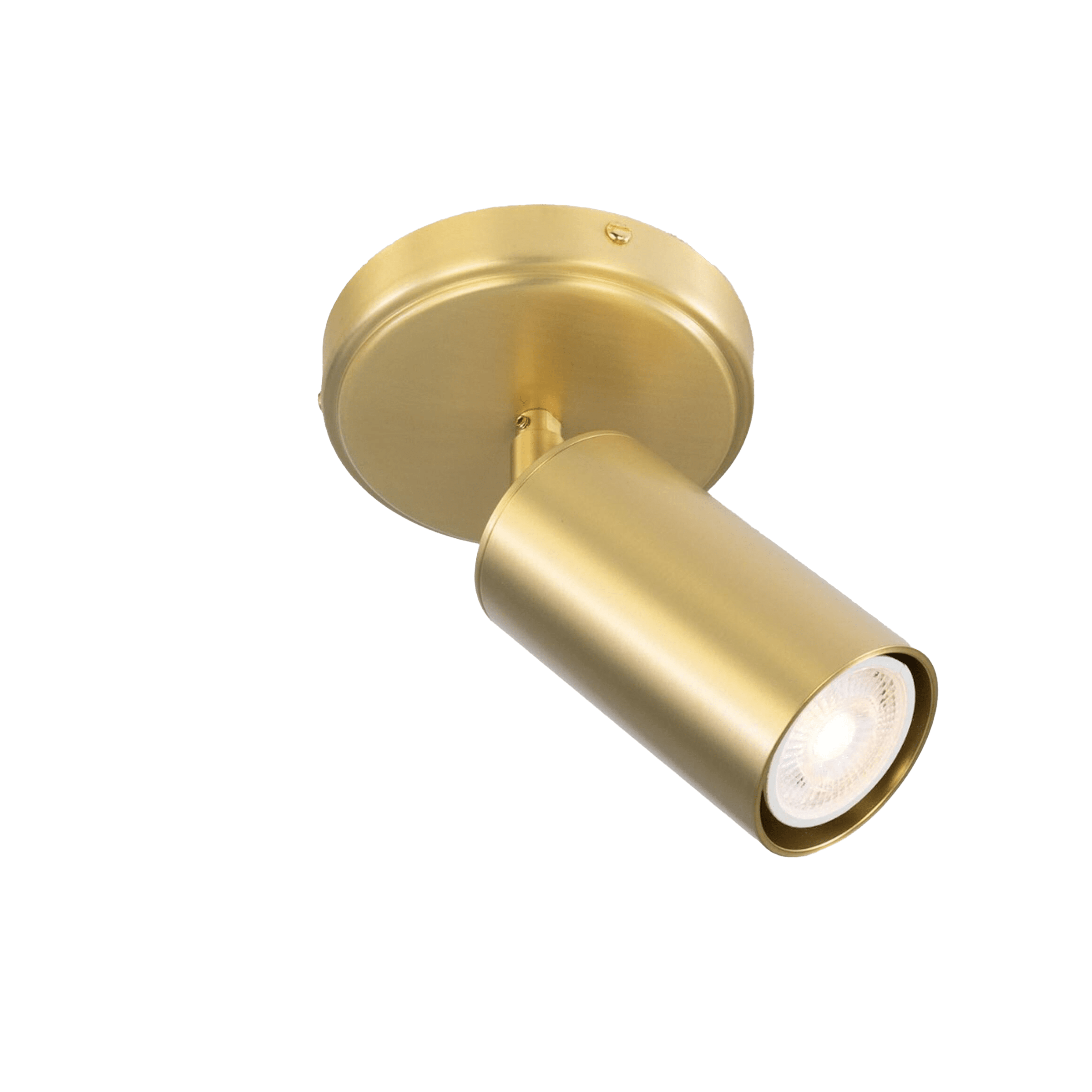 Mullan Lighting Lighting Evanston Directional Brass Ceiling Spot Light
