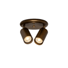 Mullan Lighting Lighting Evanston Two Light Directional Brass Ceiling Spotlight
