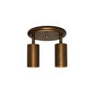 Mullan Lighting Lighting Evanston Two Light Directional Brass Ceiling Spotlight