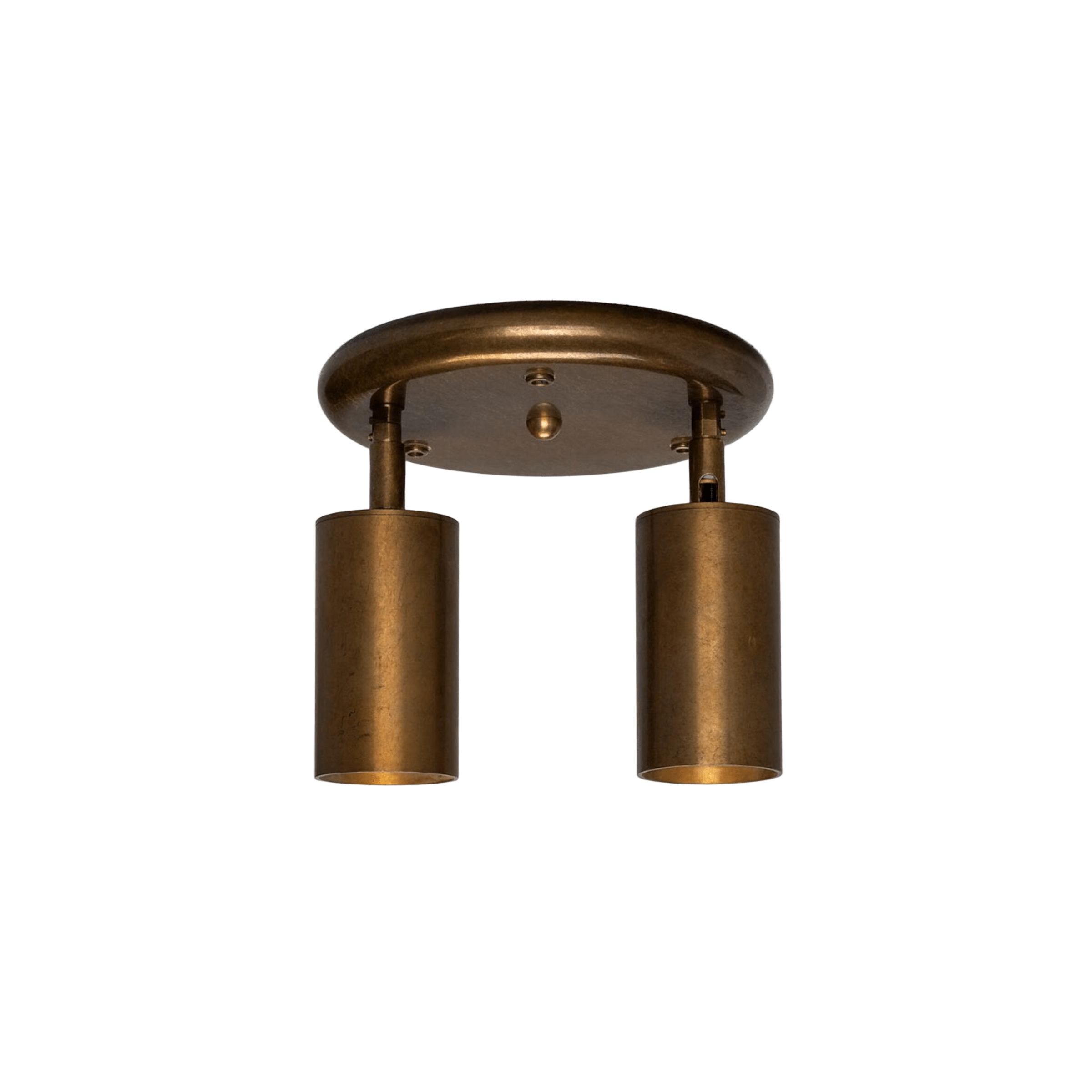 Mullan Lighting Lighting Evanston Two Light Directional Brass Ceiling Spotlight