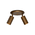 Mullan Lighting Lighting Evanston Two Light Directional Brass Ceiling Spotlight