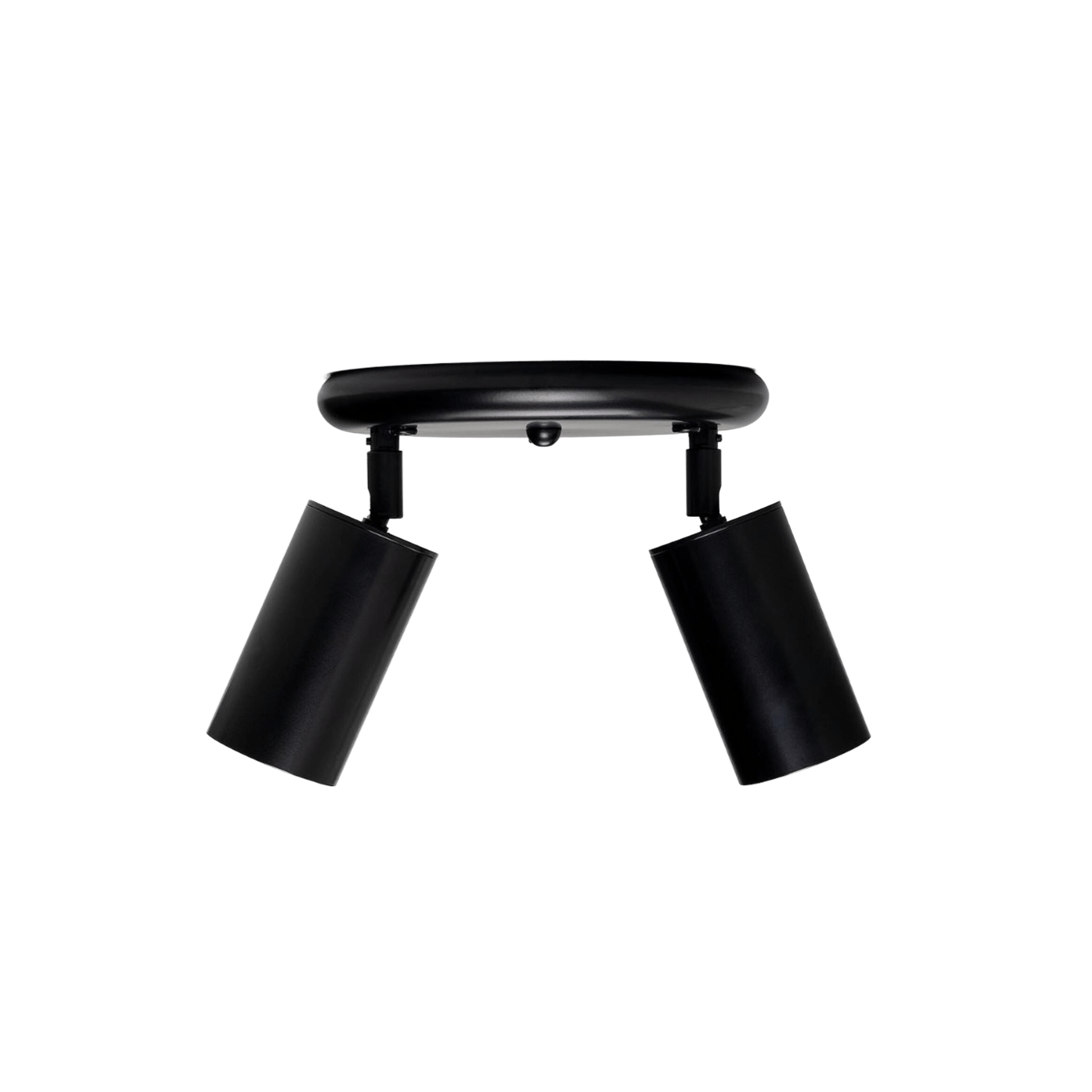 Mullan Lighting Lighting Powder-Coated Matte Black Evanston Two Light Directional Brass Ceiling Spotlight