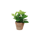 NACH Furniture SHOP Faux Mint Plant