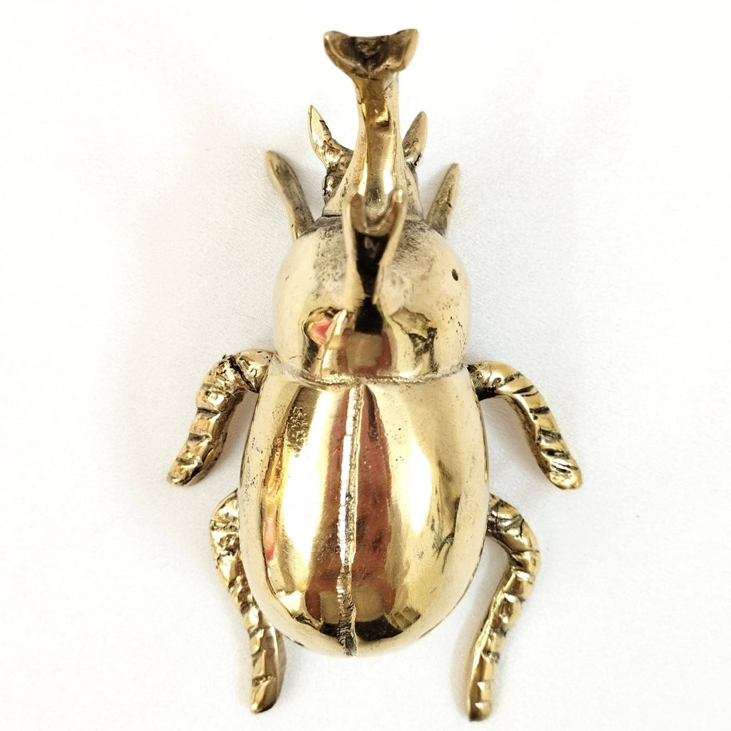 FERN FERN - Bottle Opener Beetle Rhinoceros