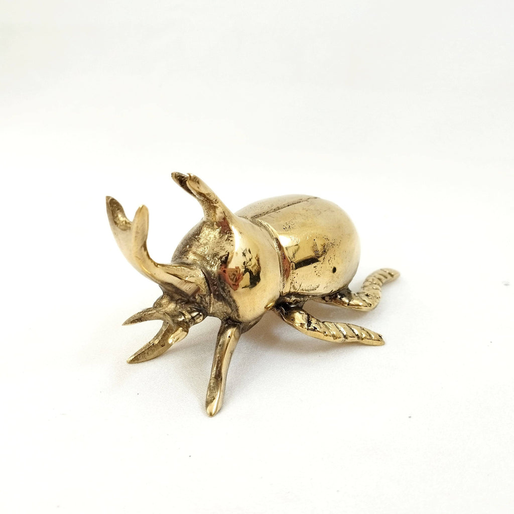 FERN FERN - Bottle Opener Beetle Rhinoceros