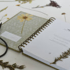 June & December Books Fern Herbarium Journal