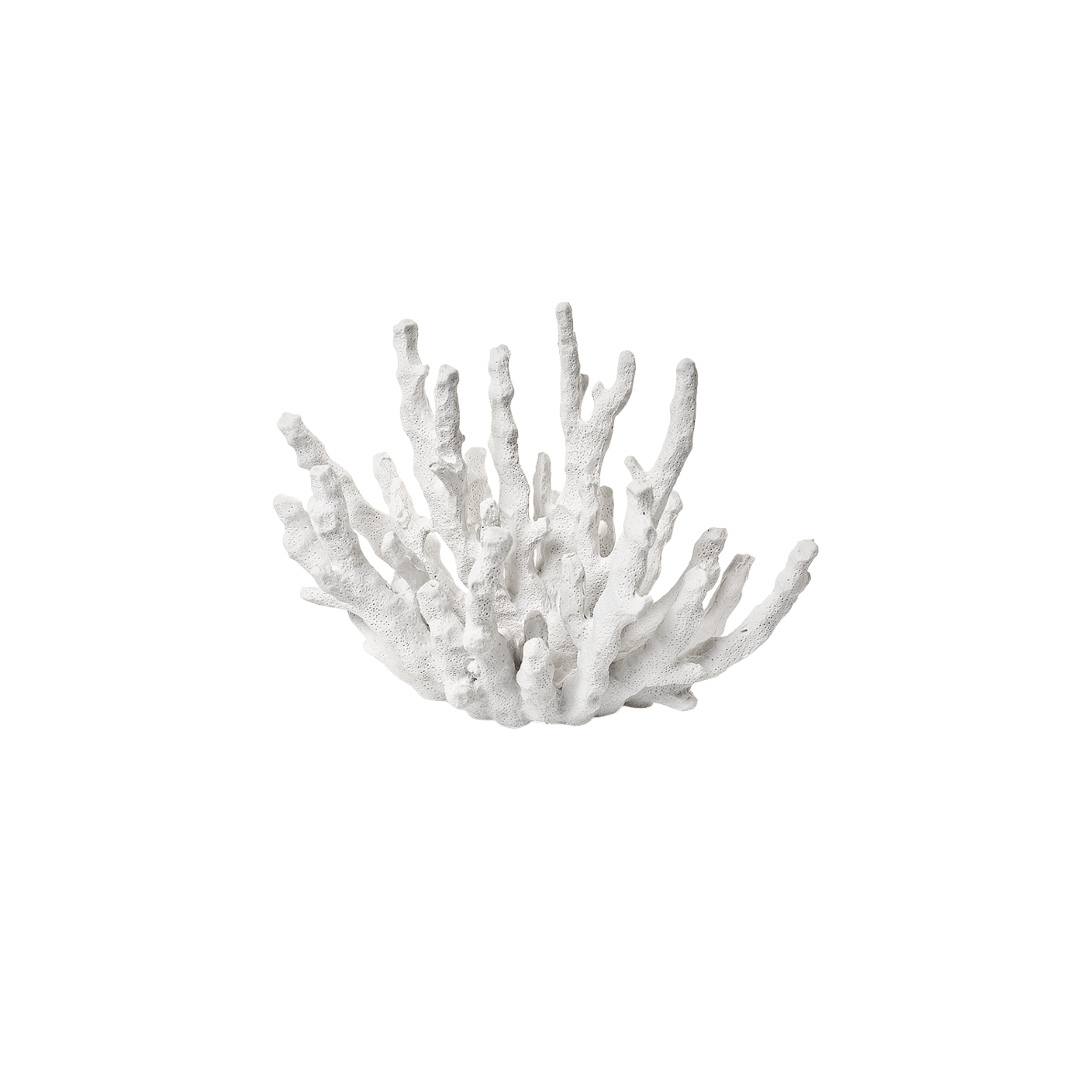 Abbott SHOP Finger Coral Accent