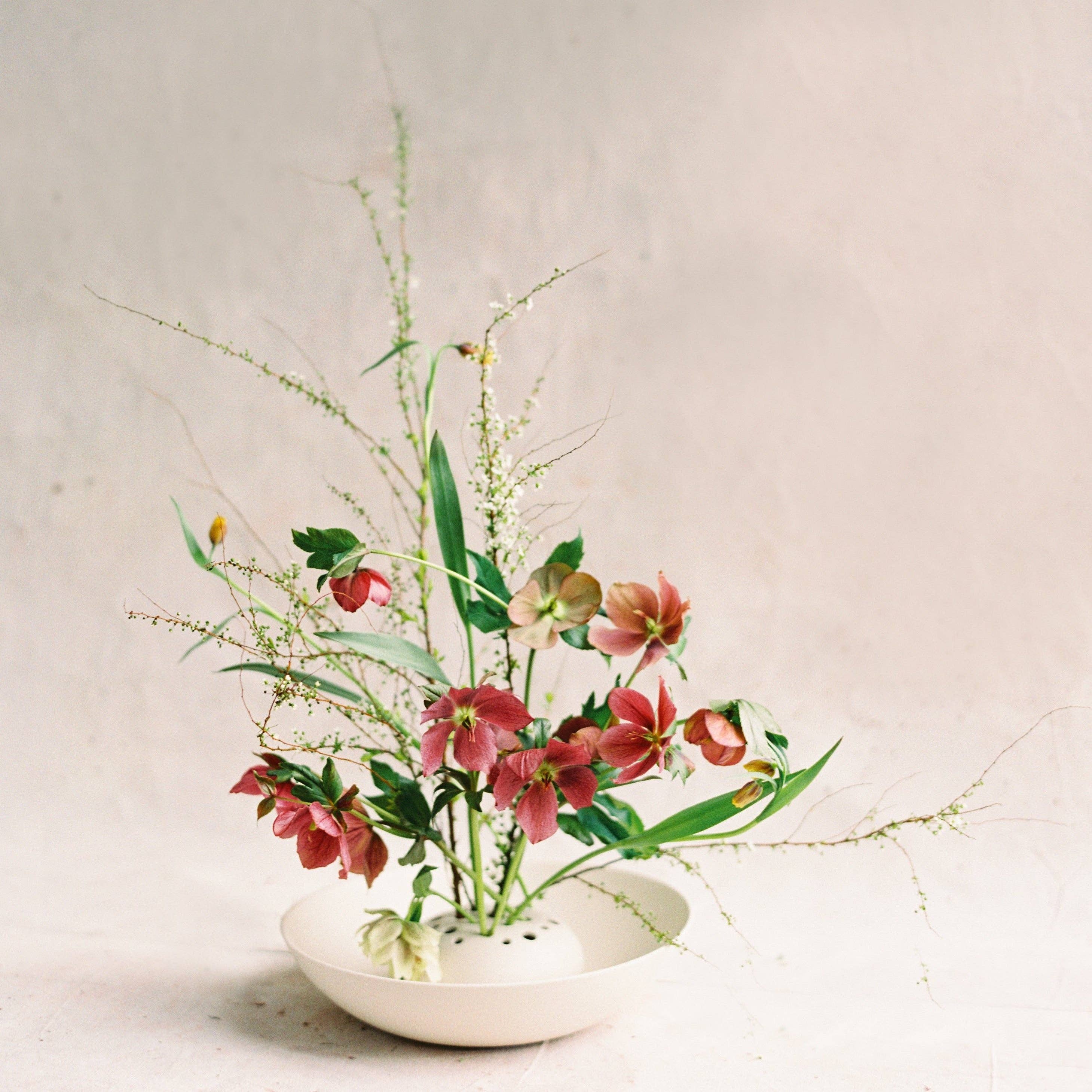 The Floral Society SHOP Flower Frog Bowl Vase