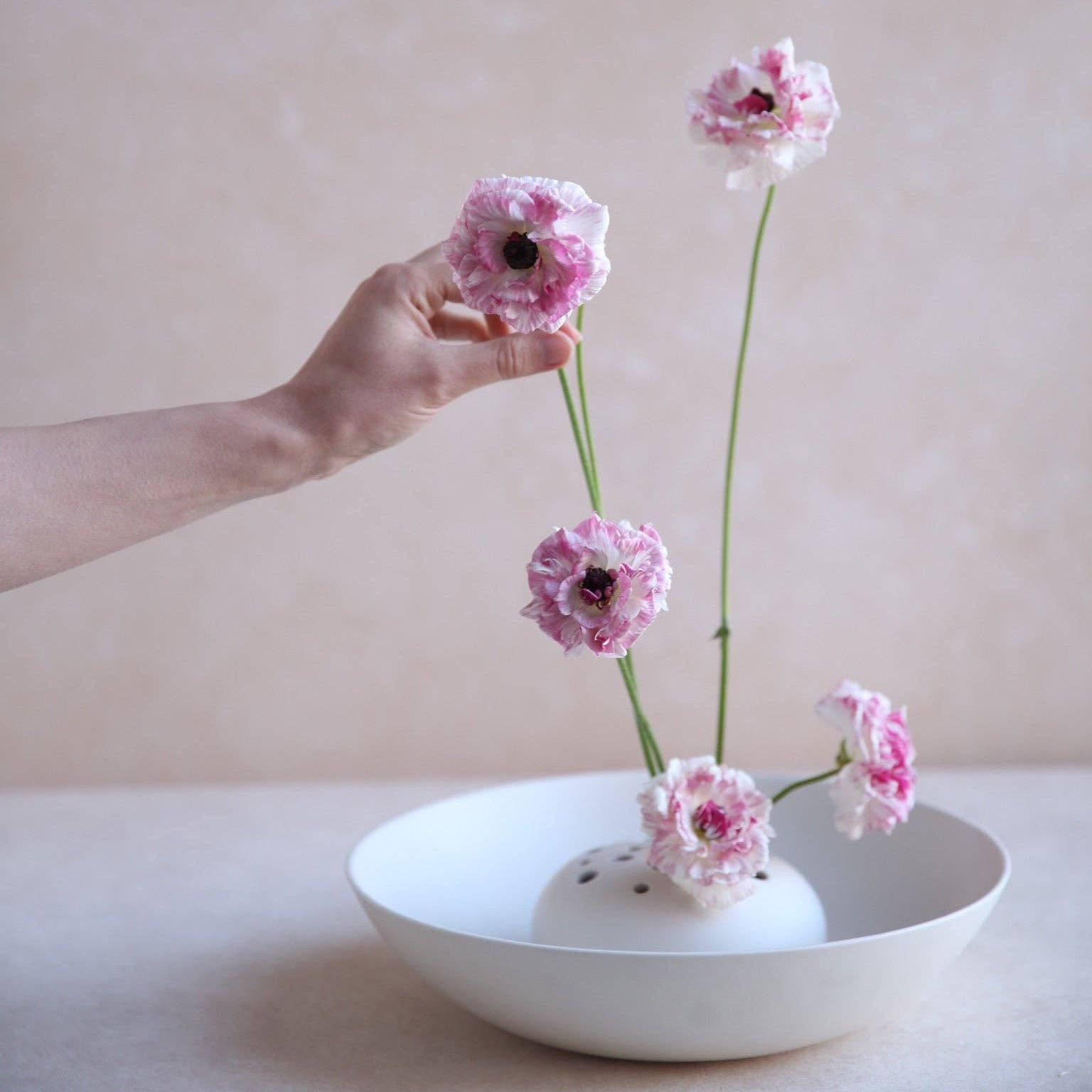 The Floral Society SHOP Flower Frog Bowl Vase