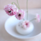 The Floral Society SHOP Flower Frog Bowl Vase