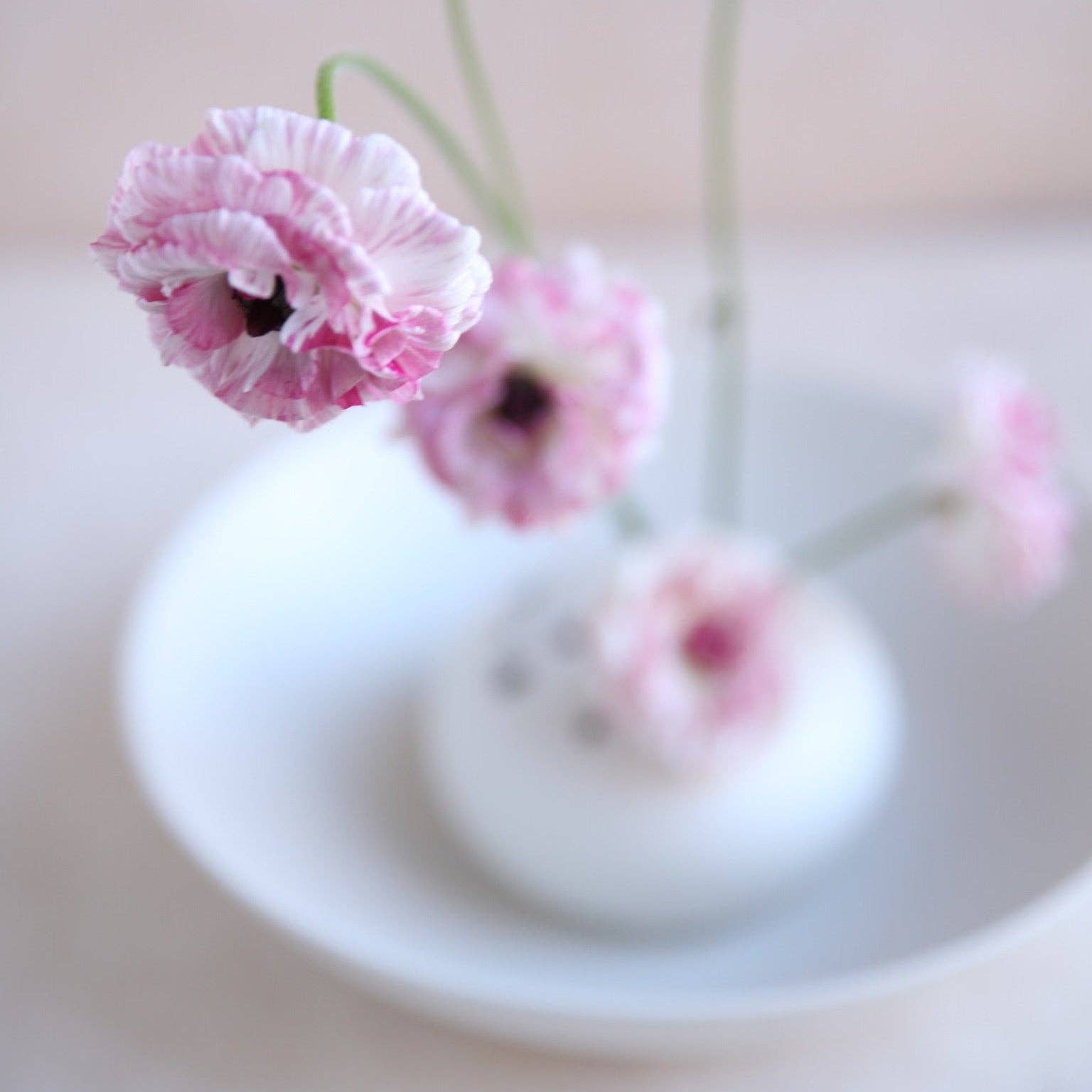 The Floral Society SHOP Flower Frog Bowl Vase