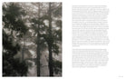 Chronicle Books Book Forest