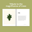 Chronicle Books Book Forest