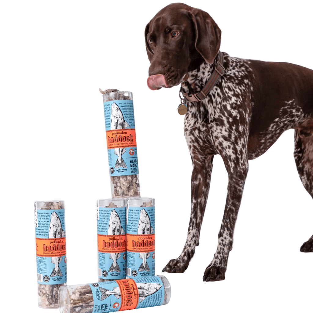 Polkadog Pet Haddock Jerky Pet Treats