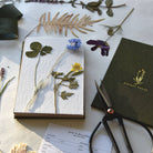 June & December June & December - Field Flower Press