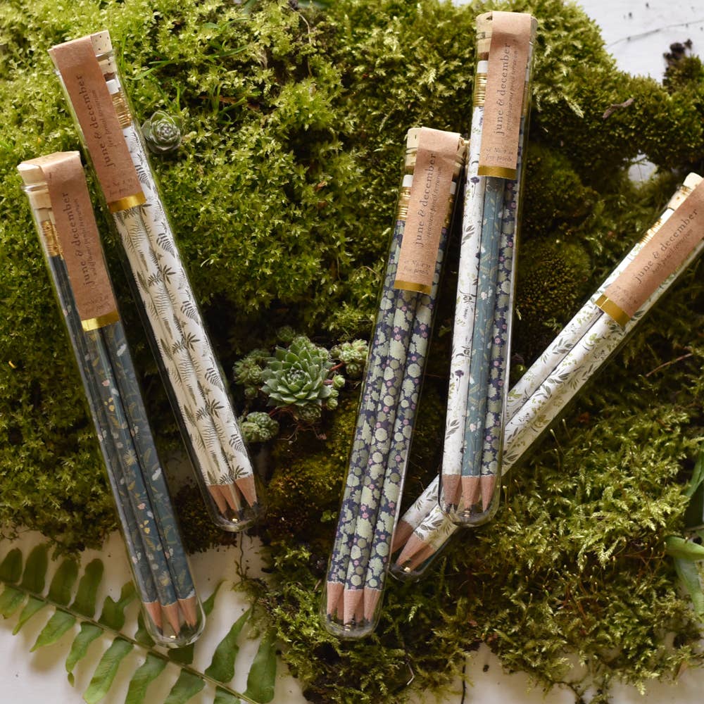 June & December 8" tall x 1"wide June & December - Garden Mix Pencil Terrarium, Set of 5 Pencils