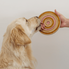 Lambwolf Collective TAN Lambwolf Collective - 3-IN-1 BENTO