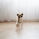 Lambwolf Collective Lambwolf Collective - MOMO//ENRICHMENT DOG TOY