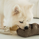Lambwolf Collective Lambwolf Collective - RYE //ENRICHMENT DOG TOY