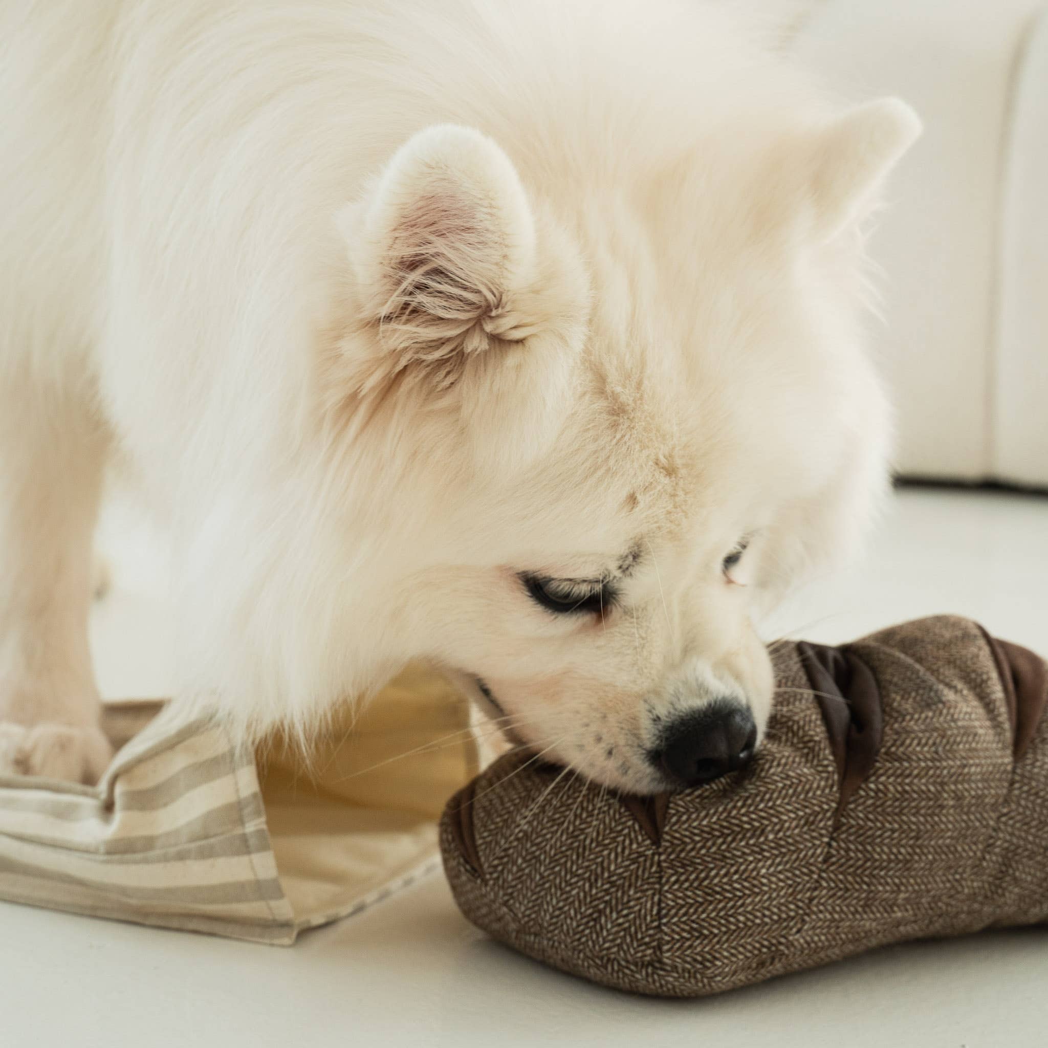 Lambwolf Collective Lambwolf Collective - RYE //ENRICHMENT DOG TOY