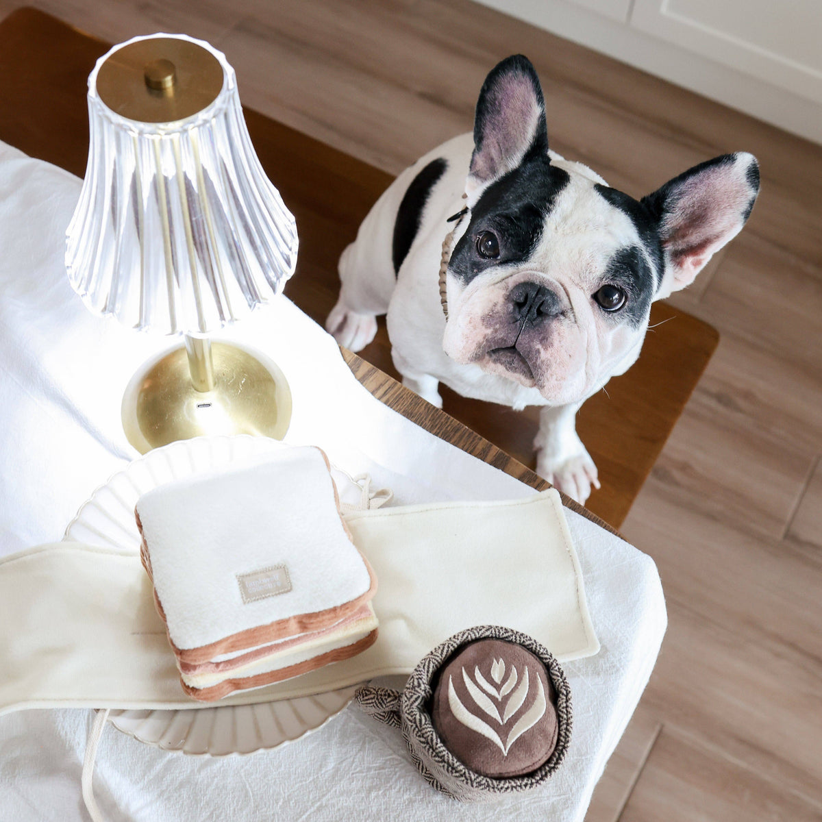 Lambwolf Collective SHOP Latte Pop Dog Toy
