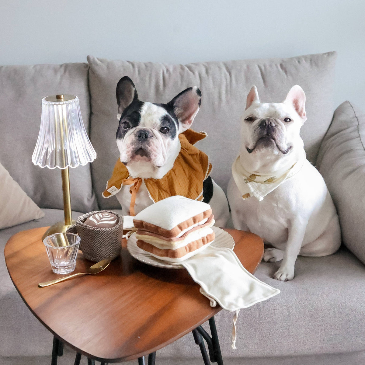 Lambwolf Collective SHOP Latte Pop Dog Toy