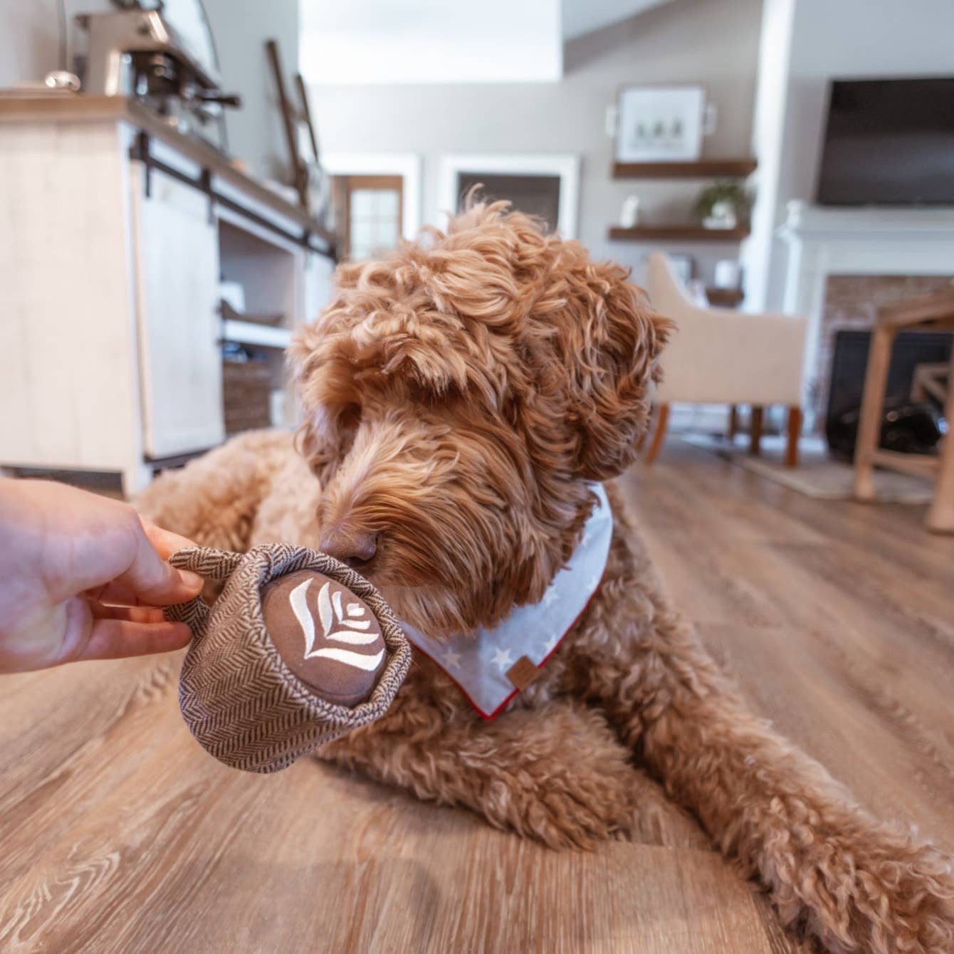 Lambwolf Collective SHOP Latte Pop Dog Toy