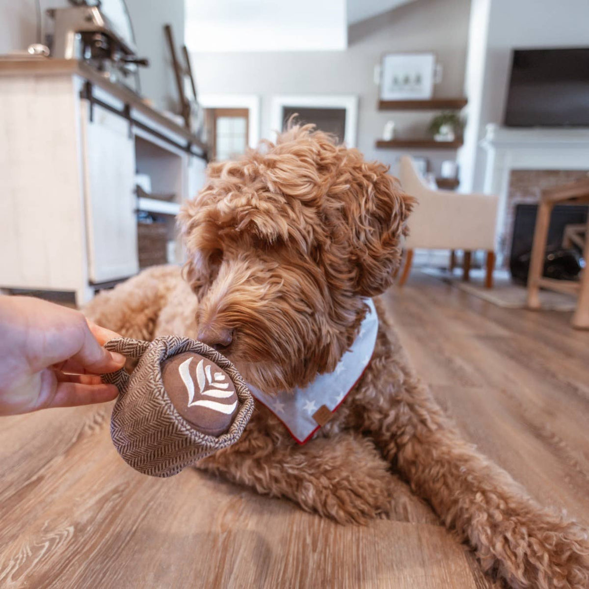 Lambwolf Collective SHOP Latte Pop Dog Toy