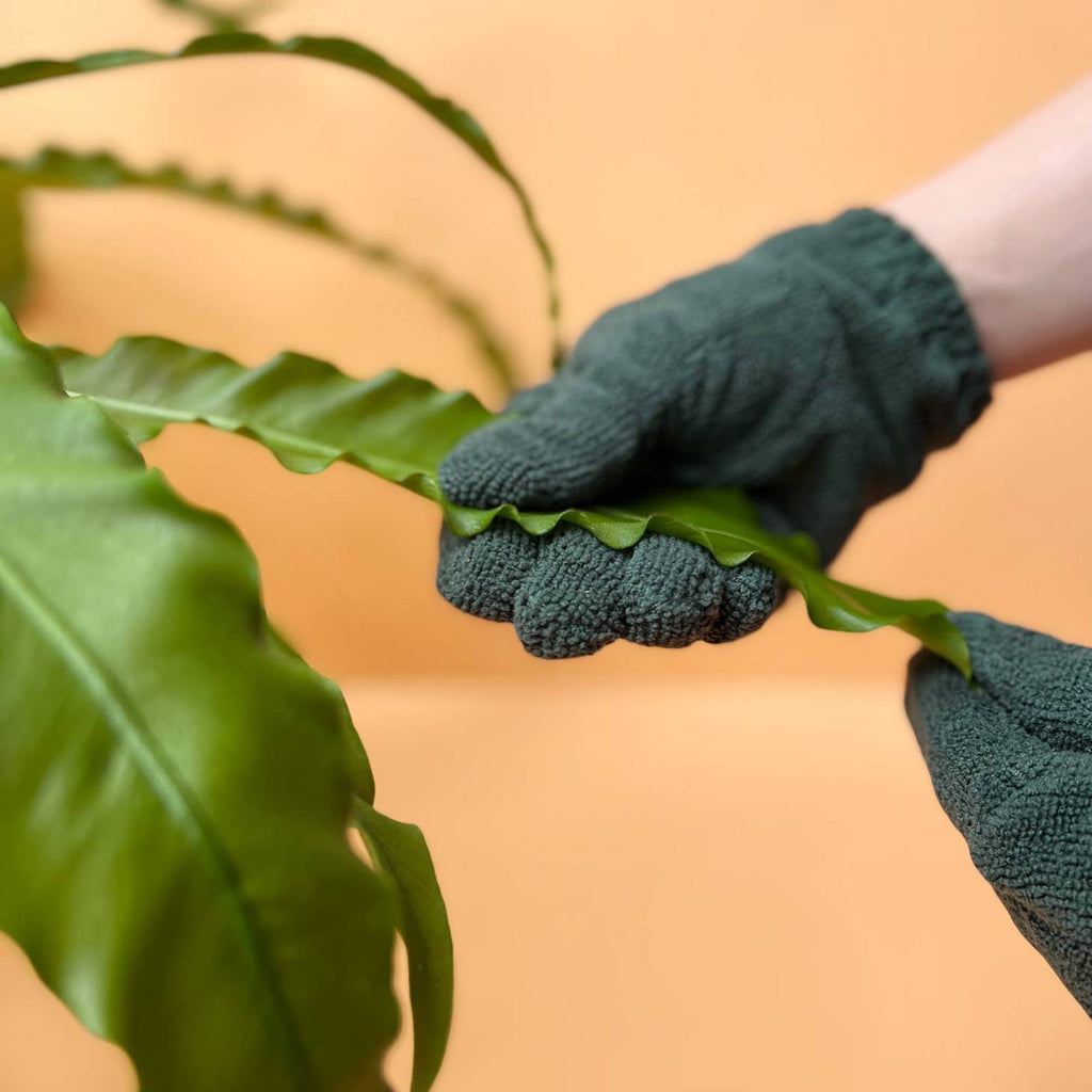 We The Wild Plant Care USA Garden Leaf Cleaning Gloves