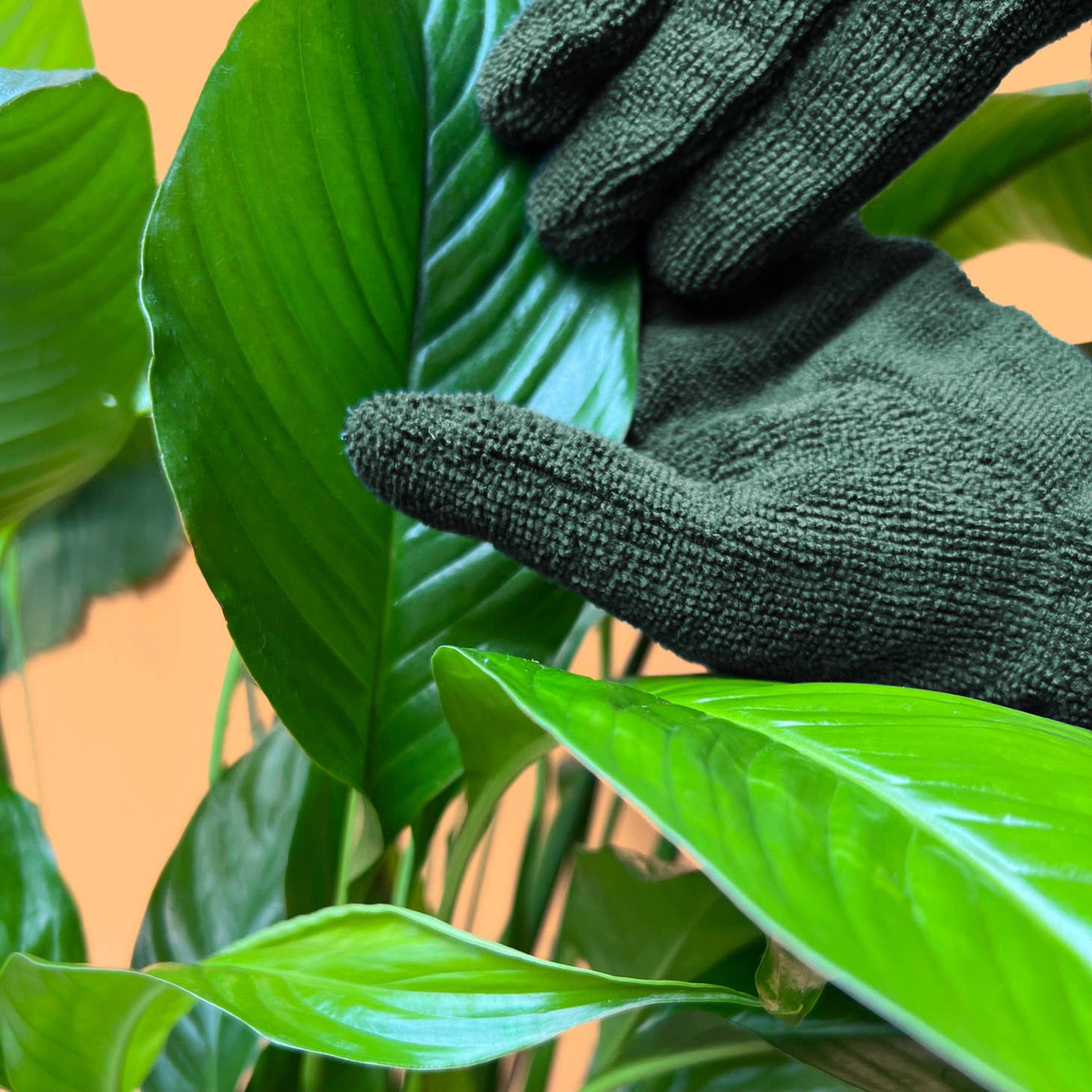 We The Wild Plant Care USA Leaf Cleaning Gloves